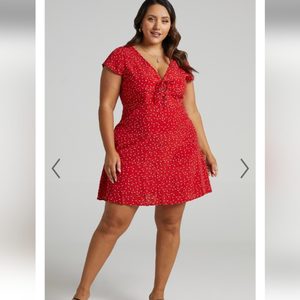 Secret Cure Dress